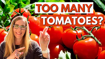 Lze zmrazit hovězí rajčata vcelku?