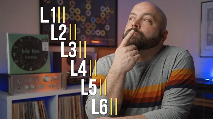 Which LEVEL of Vinyl Record Cleaning are YOU ON??