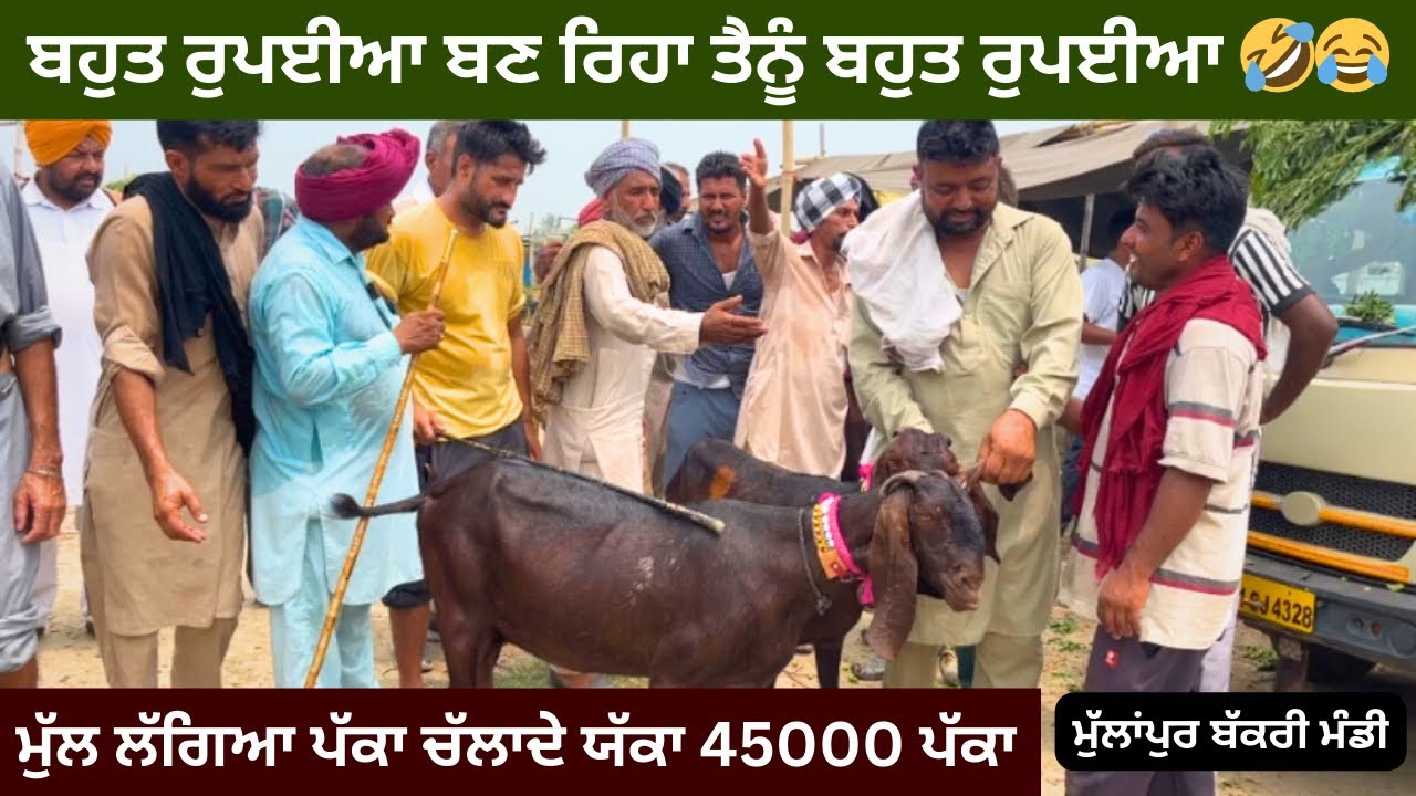 ਬਹੁਤ ਰੁਪਈਆ ਬਣ ਰਿਹਾ ਤੈਨੂੰ,,ਮੁੱਲ ਲੱਗਿਆ ਪੱਕਾ ਚੱਲਦੇ ਯੱਕਾ 45000 ਪੱਕਾ 