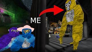 I trolled as Verity in Gorilla Tag