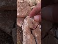 نظرا لي هذا الباحث كيف بدا بفحص الحجر ليستدل على الذهب