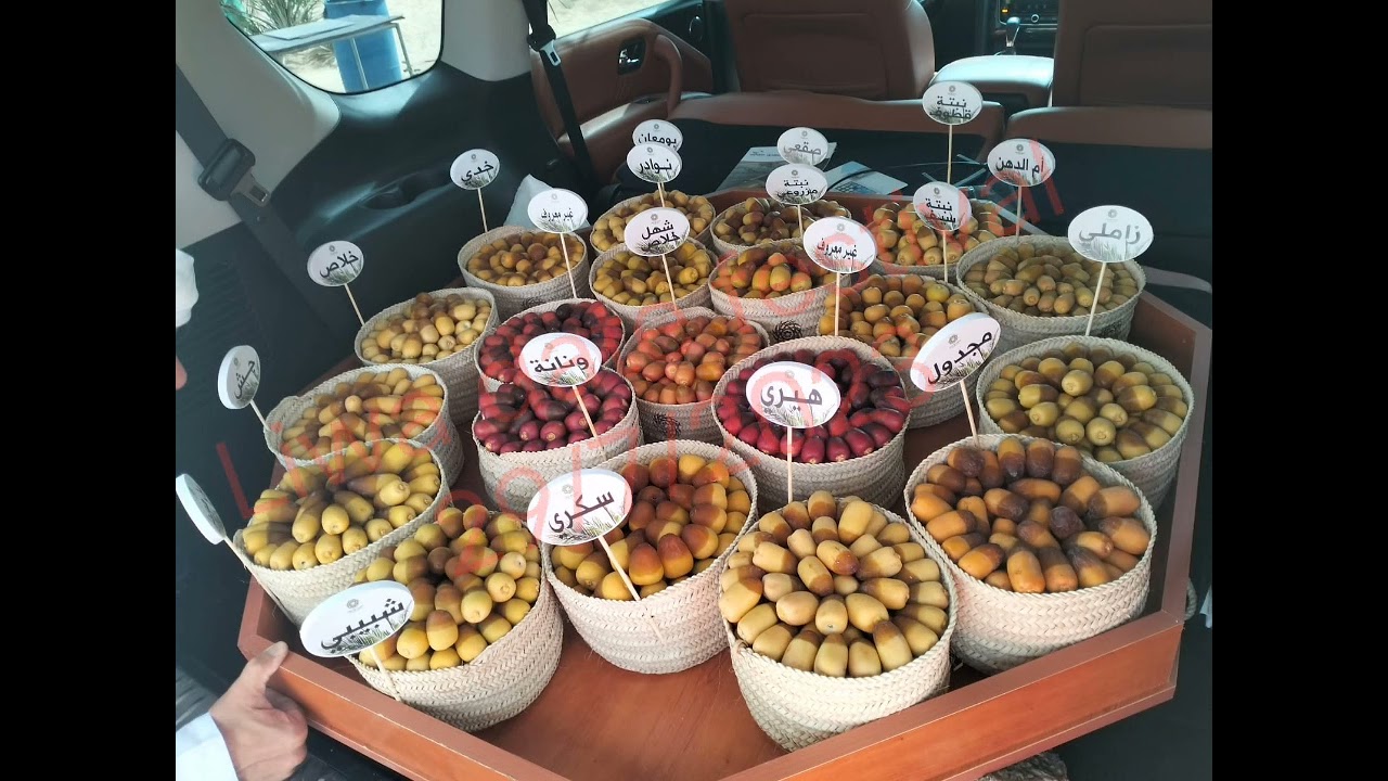 Liwa date festival##29/7/2023