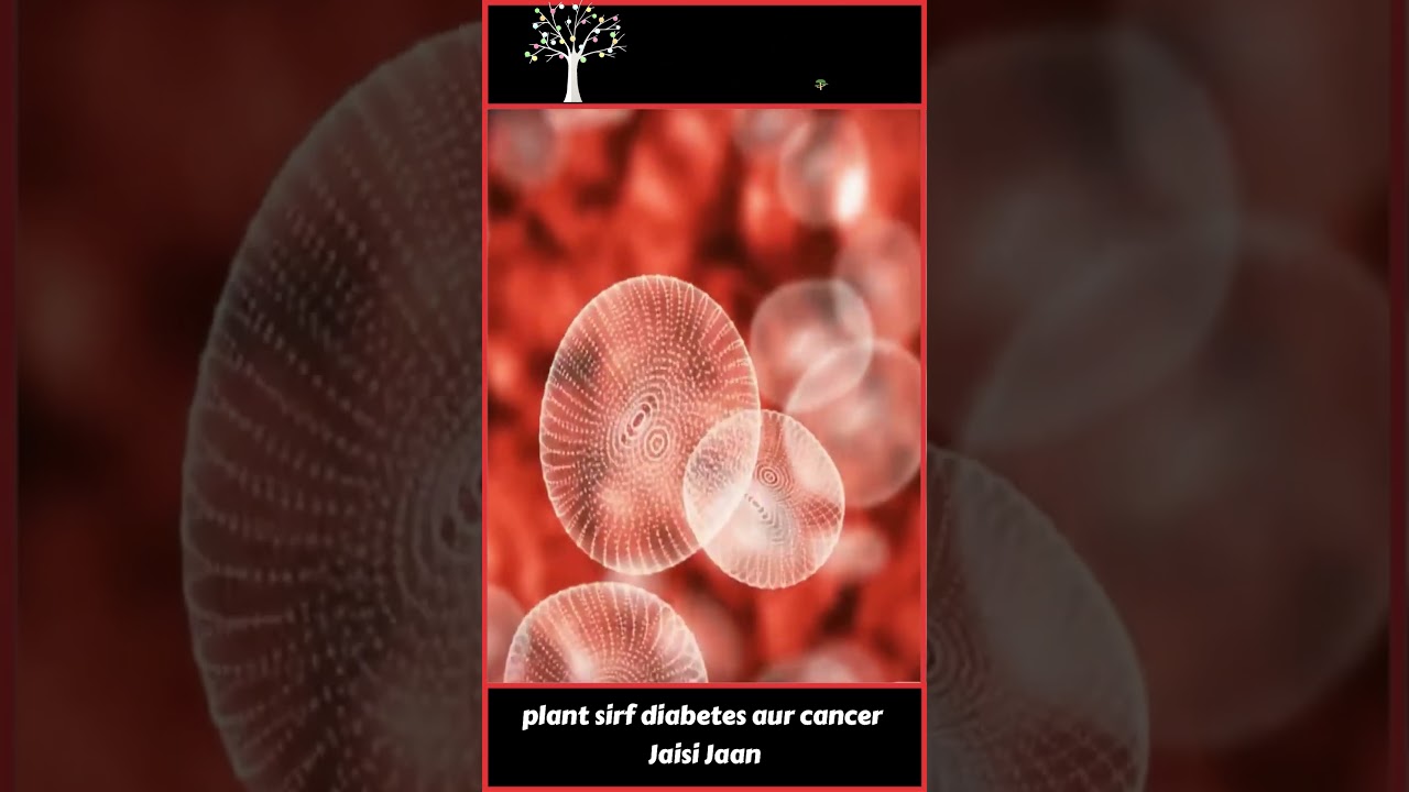 Marking Nut Tree । दुनिया के जहरीले ट्री। 