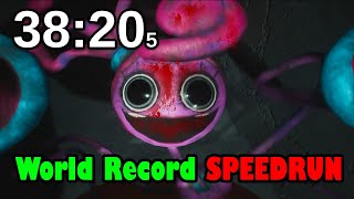 World Record SPEEDRUN - Full Game in Poppy Playtime: Chapter 2 (No Death) screenshot 5