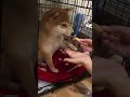 これは誰がダメ？