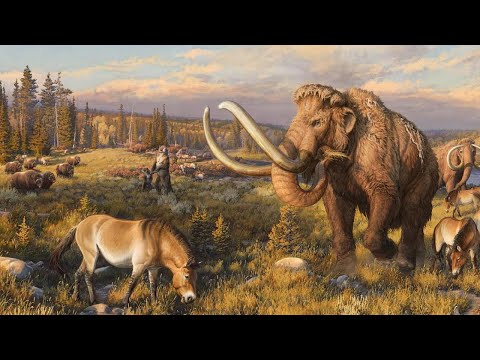 Video: Den frillete haien er et overlevende fossil