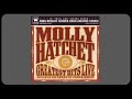 Capture de la vidéo Molly Hatchet  – Greatest Hits Live  * 2009