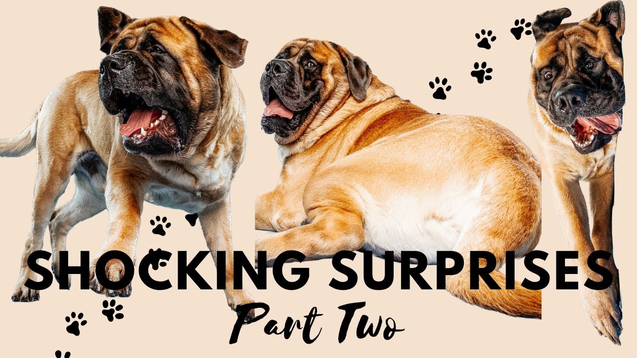 uncovering-the-unexpected-surprise-experiences-including-poop