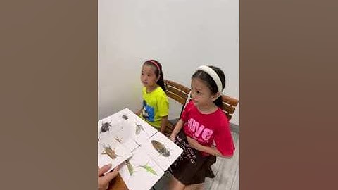 Tiếng Anh Giao Tiếp Thiếu Nhi Tại Phan Thiết: Katty and Ruby talking about Insects