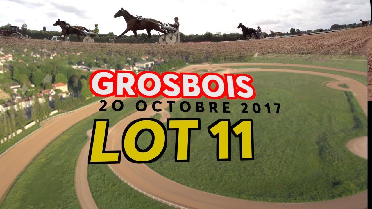 Qualifications LOT 11 Grosbois 20 10 2017 qualifications tradução