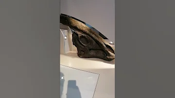 What DINOSAURS Really SOUNDED Like Parasaurolophus 