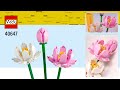 LEGO® Lotus Flowers (40647)[220 pcs] Review @TopBrickBuilderReviews