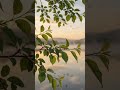 Relaxing Music for Stress Relief 🌿 Calm Piano &amp; Nature Sounds | Deep Sleep, Meditation &amp; Relaxation