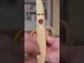 Fruits get eaten Short Ver