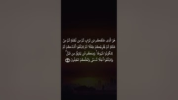 عبدالباسط عبدالصمد ( مرتل ) - سورة غافر ( 68 : 67 )