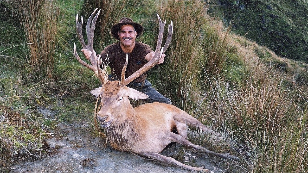 Hunting Red deer in the roar in Fiordland with 7mm Rem Mag for venison
