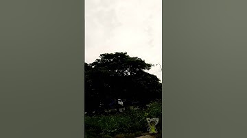 FPV in SLOWMO 🔥 #fpv #shorts #slowmotion #cinematic #drone