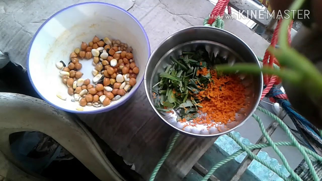 SUMMER IN BEST SOFT FOOD FOR BIRDS. COCKATIEL,LOVE BIRD, FINCH,BUDGIES ETC. YouTube