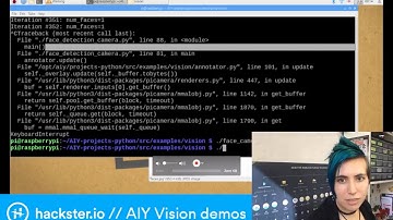 Google AIY Vision Kit Demos