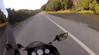 Why I ride a Kawasaki Ninja 250R/ Beginner Bike Tips (Motovlog 2)