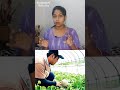 World's Expensive Fruit #viral #trending #trend #youtubeshorts #shorts #youtube #viralvideo #health