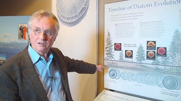 Richard Dawkins: Diatoms: The Evolution of a New Species - Nebraska Vignettes #5