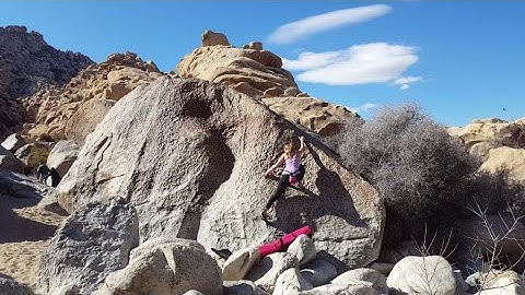 Unnamed* (V0) Flash - Joshua Tree