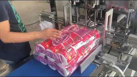 Two Layer Multi Rolls Packing Machine for toilet roll/Kitchen towel