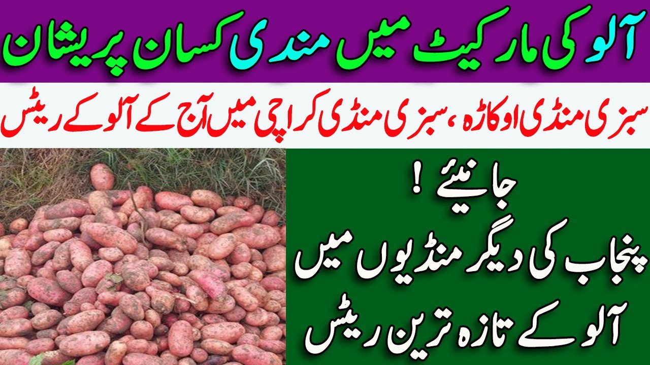 Today Potato Rates In Sabzi Mandi Okara ,Karachi آلو کے ریٹس 2023