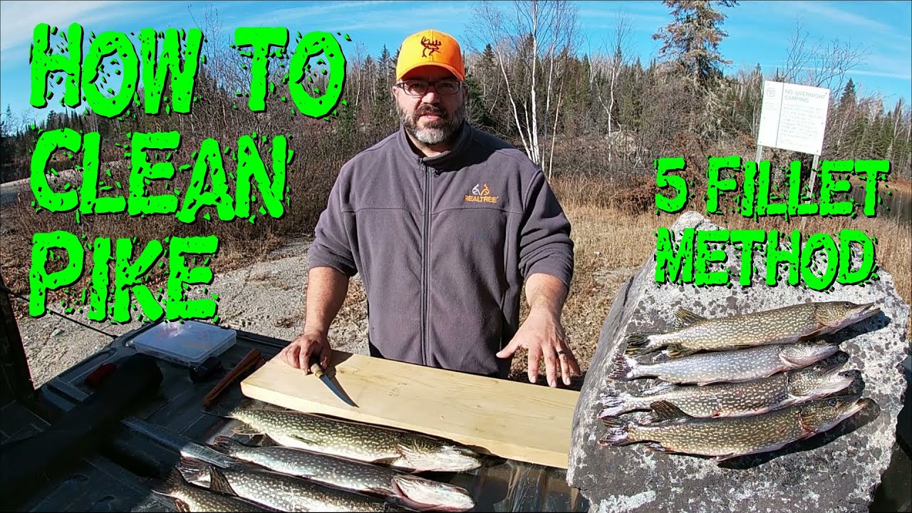 How to Clean Northern Pike 5 Fillet Method Detailed Video YouTube