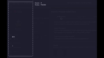 Demo for Console Snake Game