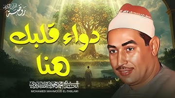 دواء قلبك هنا 🤍 أجمل تلاوات الشيخ محمد محمود الطبلاوي HD