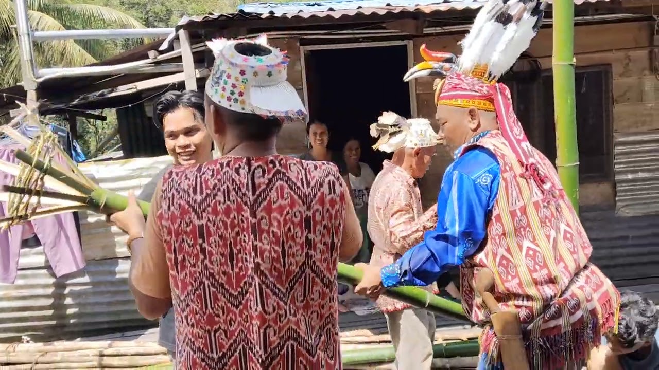 Ngaga teresang tinggi maya nyambut Ari Gawai ba rmh Anding sg meluan,melinau kapit.