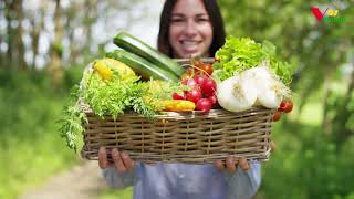 Что Такое Правильное Питание Как Достичь Правильного Питания