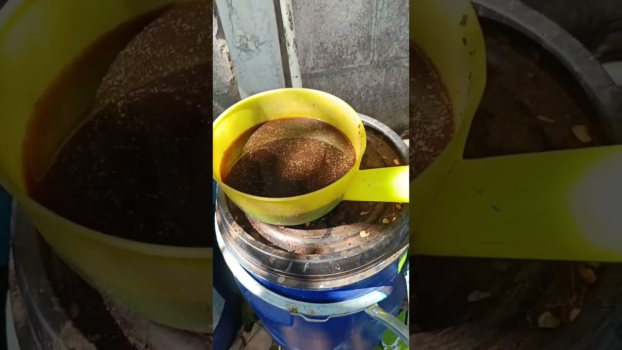 ลิตรละ39บาท ของดีที่โคตรถูก วิธีทำน้ำหมักสูตรญี่ปุ่น จากหัวเชื้อ 7วันใช้ได้เลย