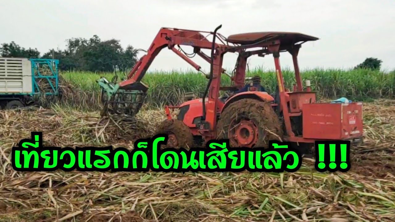 แค่เริ่มตัดอุปสรรคก็มา ตัดอ้อยปี68/69 ที่บ้านเพชร อ.ภูเขียว