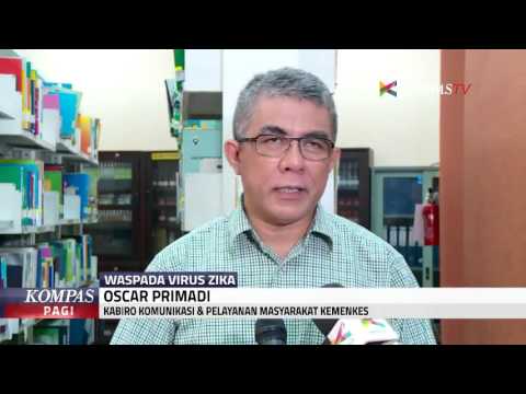 Video: Perlu Tahu: Apakah Ada Virus Zika Di Karibia?