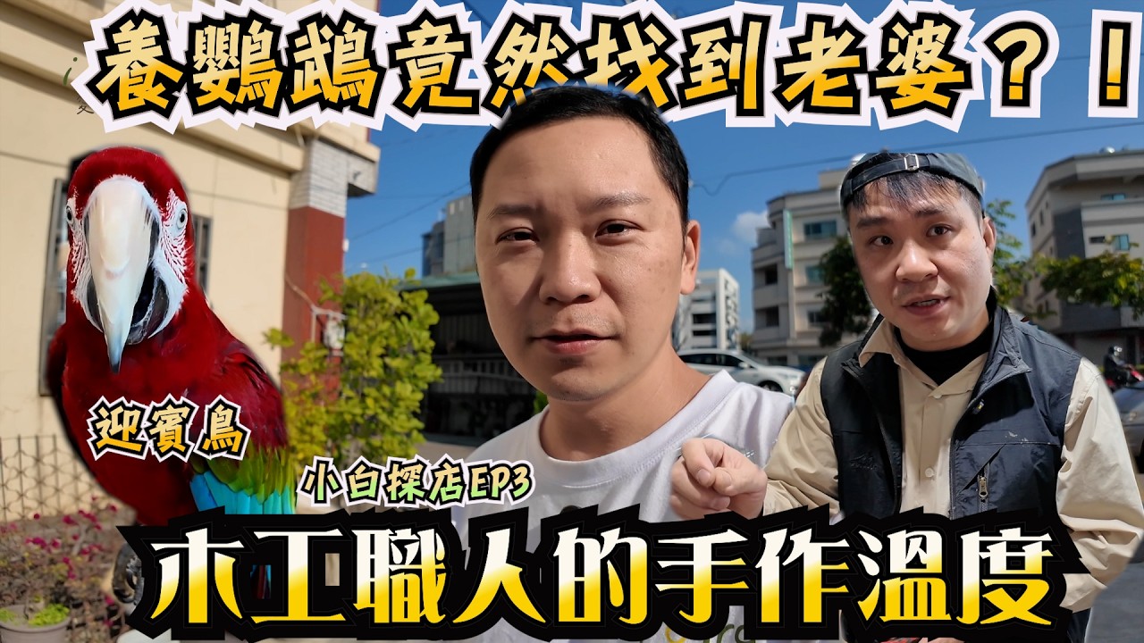 因為養鸚鵡認識彼此？！小白探店EP3 木工職人 × 手作站木棲木  這集竟然有抽獎🎁魚雁木坊鸚鵡用品