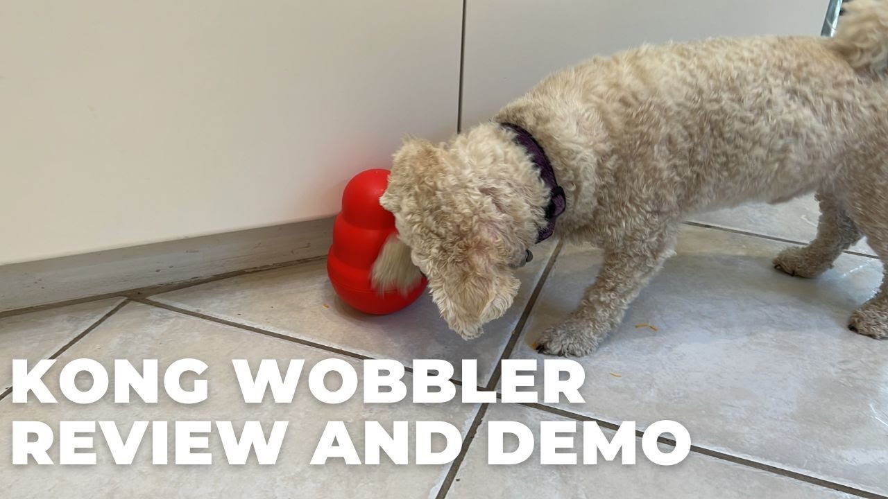 KONG Wobbler Dog Toy Review 