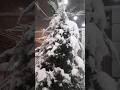 Osh snow fall video Shorts | Tamil | Kyrgyzstan | Osh city snow fall Shorts video | #osh