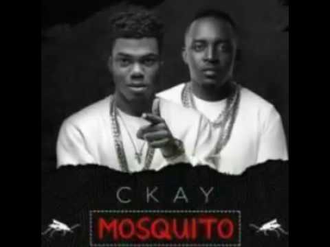 Download Ckay – Mosquito ft. M.I X Akanm D Boy(official videos audio)