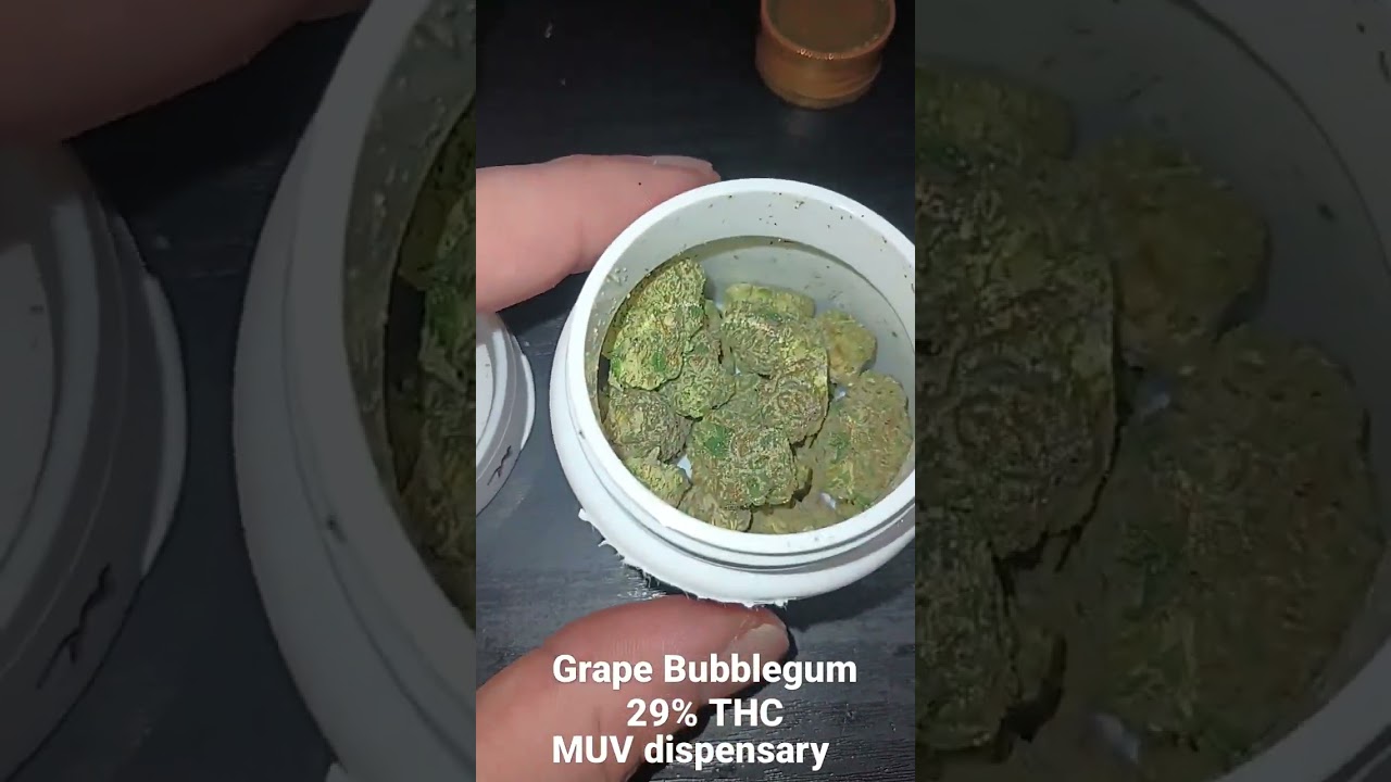 MUV Dispensary. Grape Bubblegum 29%