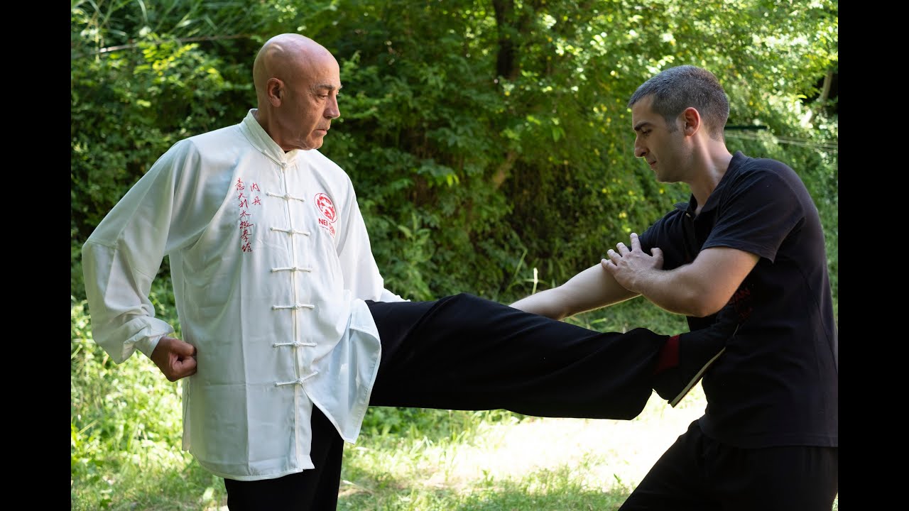 La Marzialità della Nei Dan School: Taiji Quan e Xin Yi Quan