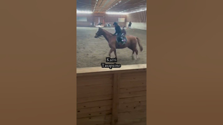 Tein nyt tämösen❤️ ei oo läheskään kaikki hepat jolla oon menny💞