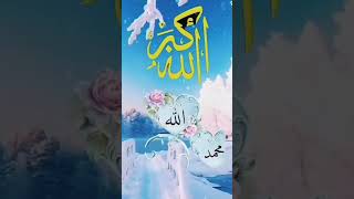 Islamic video Masjid aqsashortsvideo Mohd Burhan official