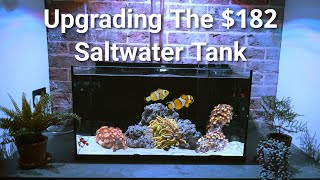 Simple Saltwater Tank Part 2: Getting Ready For Corals