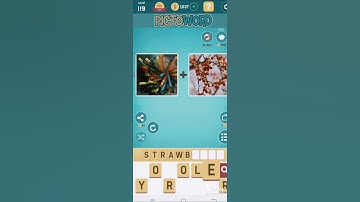level 119 complete pictoword game