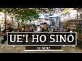 UE'i Ho Sino | Dj Noiz | Zumba® | Alfredo Jay | Dance Fitness | Choreography