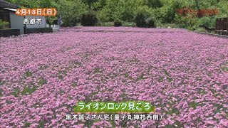 『動物園の園長と行くガイドツアー』『ライオンロック見ごろ』『土屋健一遺作展』「ジモ通」