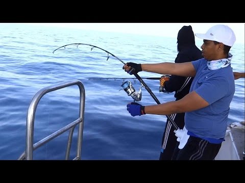 shimano saragosa 20000 sw‏ in action 